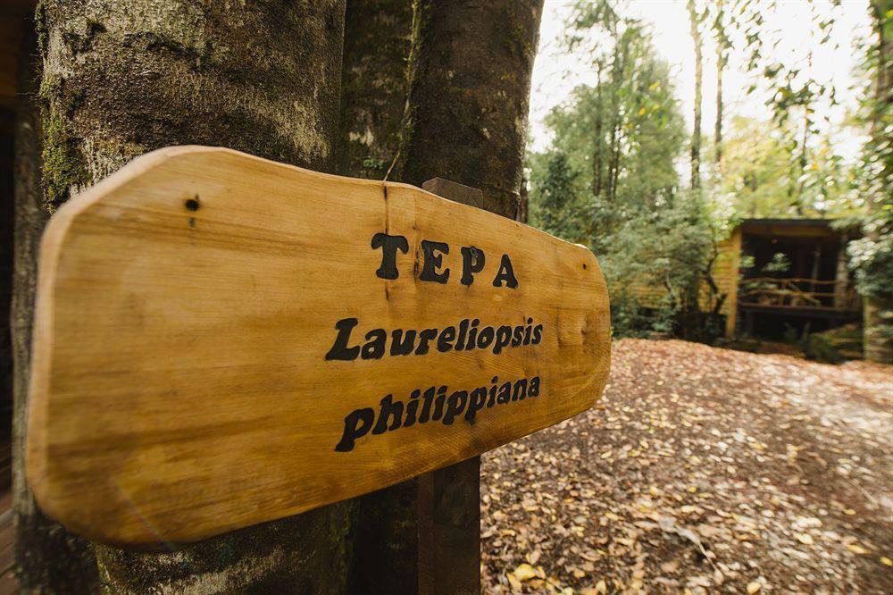 Huilo Huilo Nawelpi Lodge Puerto Fuy Exterior photo