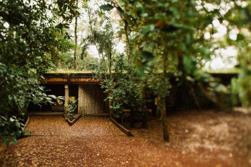 Huilo Huilo Nawelpi Lodge Puerto Fuy Exterior photo